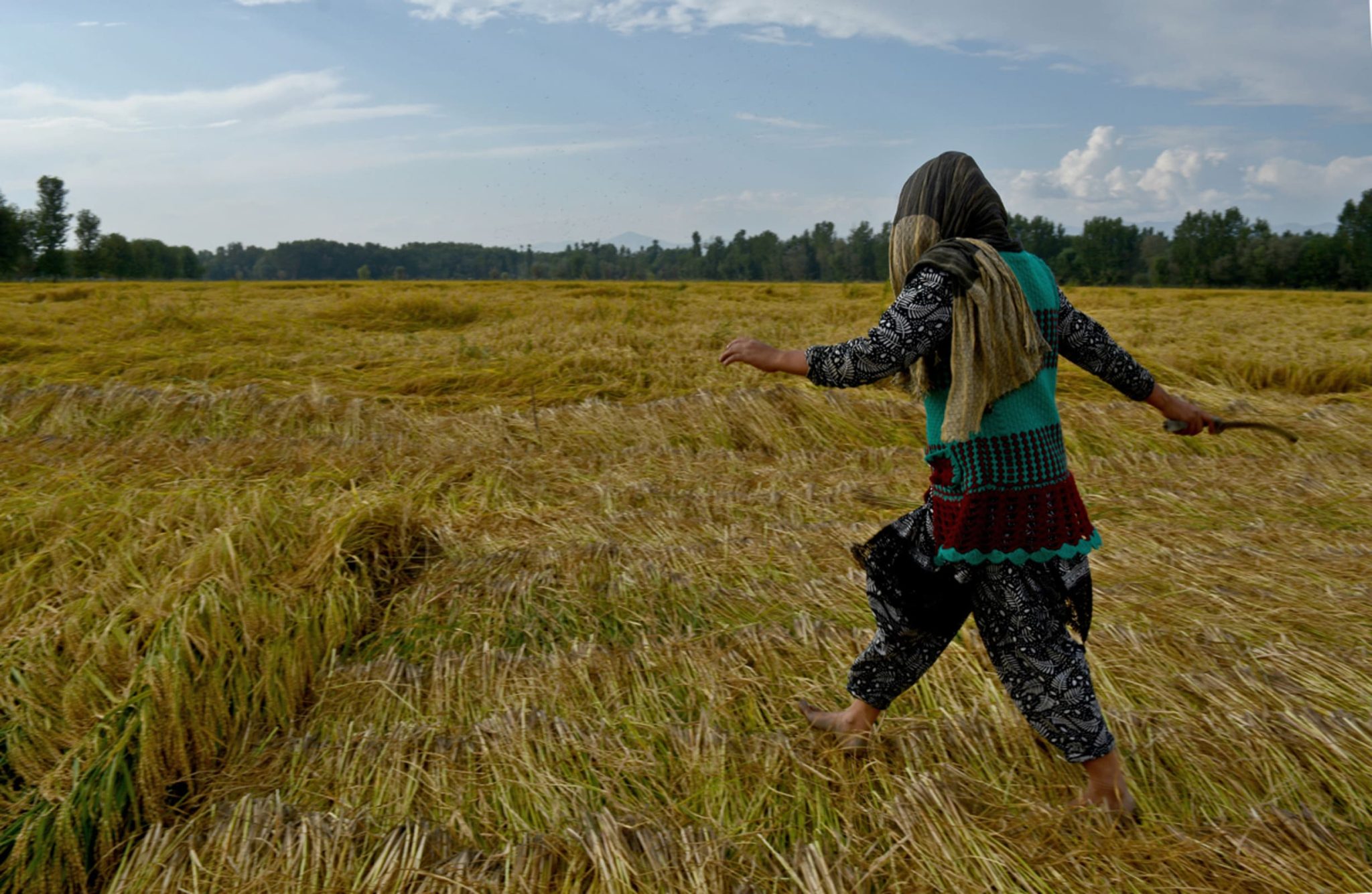 October 2018, Budgam, Kashmir — A farmer runs for cover during a gunfight between rebels and the Indian army in Budgam.